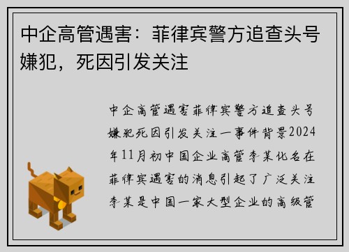 中企高管遇害：菲律宾警方追查头号嫌犯，死因引发关注