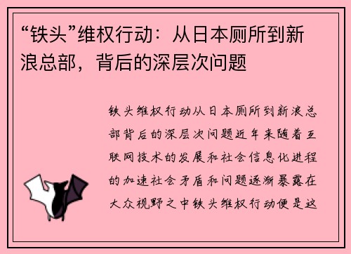 “铁头”维权行动：从日本厕所到新浪总部，背后的深层次问题