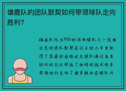 雄鹿队的团队默契如何带领球队走向胜利？
