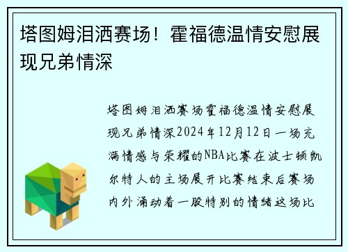 塔图姆泪洒赛场！霍福德温情安慰展现兄弟情深