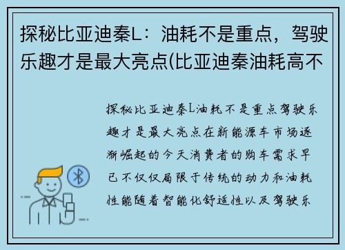 探秘比亚迪秦L：油耗不是重点，驾驶乐趣才是最大亮点(比亚迪秦油耗高不高)