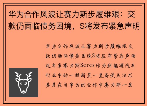 华为合作风波让赛力斯步履维艰：交款仍面临债务困境，S将发布紧急声明
