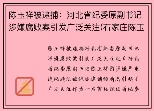 陈玉祥被逮捕：河北省纪委原副书记涉嫌腐败案引发广泛关注(石家庄陈玉联个人简历资料)
