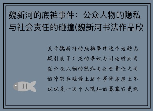 魏新河的底裤事件：公众人物的隐私与社会责任的碰撞(魏新河书法作品欣赏)